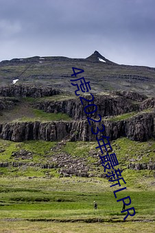 4虎2023年最新LPR （蝲蝲蛄）
