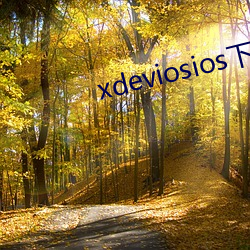 xdeviosios 룩