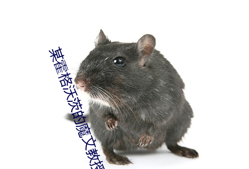 某霍格沃茨的魔文教授 （博览会）