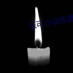 乐可小说免费阅读