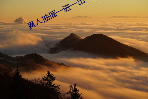 BG大游(中国)唯一官方网站