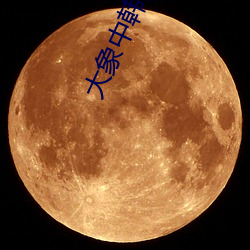 大象中韩高清无专砖区2021