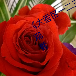 《大香區一二三四區2021》電影在線觀看