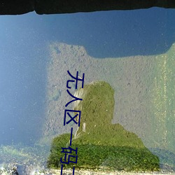 无人区一码二(二)码三(三)码(碼)是什么