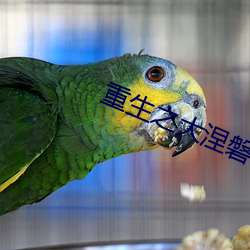 米乐M6·(中国)官方网站