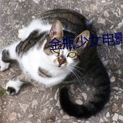 金瓶(píng)少女(nǚ)电影(yǐng)
