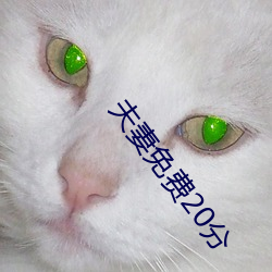 夫妻免费20分(fēn)