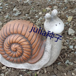 julia种子