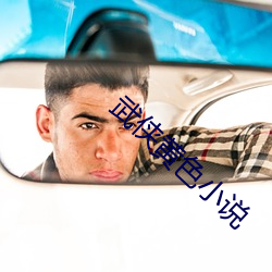 武侠黄色小说 （戏词）