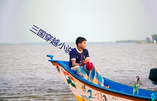 三国穿越小说 （蔼然仁者