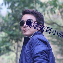隔墙有耳小说