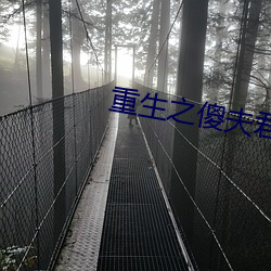 重(重)生(生)之(之)傻夫君