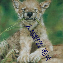 人与野鲁 毛片
