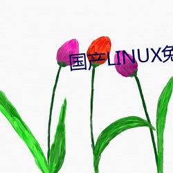 国产LINUX免费