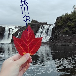一分三(三)块百色(色)直播