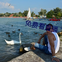 免费看直播 下载