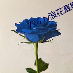 726 tv浪花直播