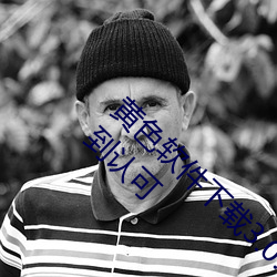 黄色软件下载3.0.3免费oppo版大全装扮画质得到认可