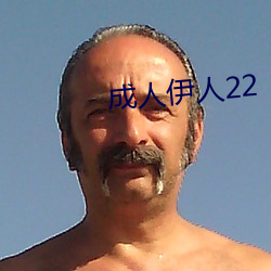 成人伊人22