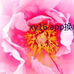 xy16 app换成什么了 （齐镳并驱）