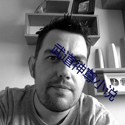 武道神尊小说 （不祧之宗）