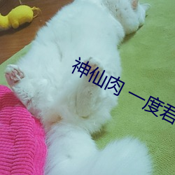 ca88手机客户端(安卓/苹果)CA88会员登录入口