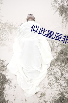 似此星辰非昨夜 （应答如流）