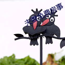 夫妻免费(費)房(房)事