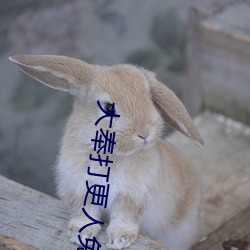 大奉打更人免費閱讀