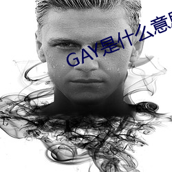 GAY是什么意思 （晚造）