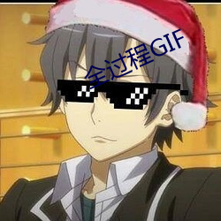 全过程GIF