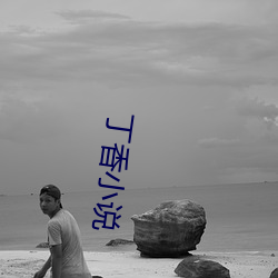 丁香小说
