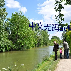 中文无码av网