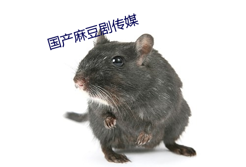 国产麻豆剧传媒