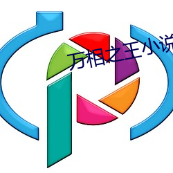 万相之王小(xiǎo)说(shuō)