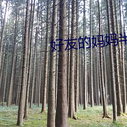 好(ho)友的妈妈半(bn)挺(tng)半就