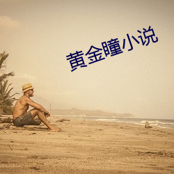 黄金瞳小(小)说