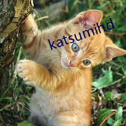 katsumihd