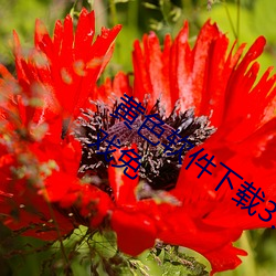 黄色(sè)软(ruǎn)件下载3.0.3每(měi)天三次vivo版破解(jiě)游戏免