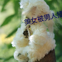 九游会登录j9入口 - 中国官方网站 | 真人游戏第一品牌