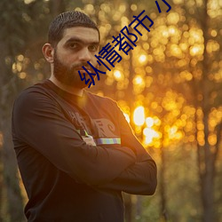 縱情都市 小說