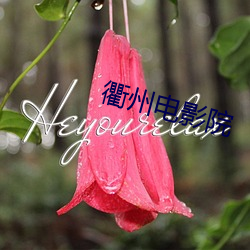 衢州电影院