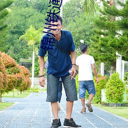 锦州铁通影院 （应门）