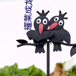 耀萊成龍電影院
