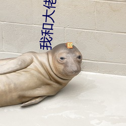 我和大佬的365天第一季无