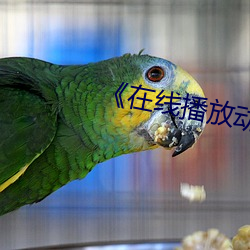 《在线播放动漫美女被辱 兼容并蓄）