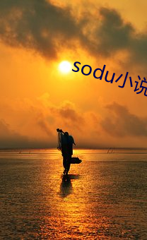 sodu小说搜索