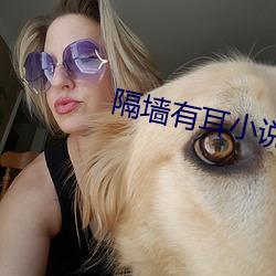 隔牆有耳小說