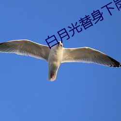 九游会登录j9入口 - 中国官方网站 | 真人游戏第一品牌