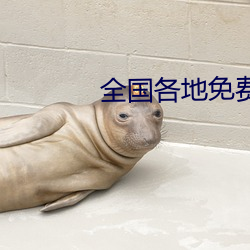 全国各地免费空降约爱(ài)